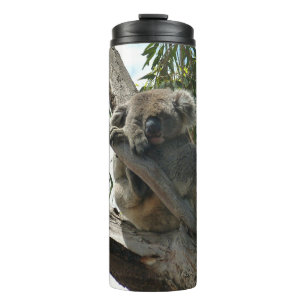 Bouteilles Isothermes Koala - Étiquettes Cadeaux couchés