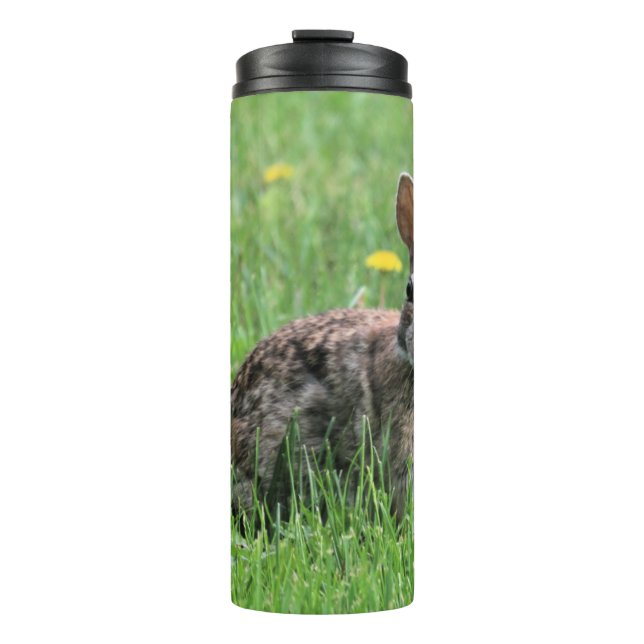 Bouteilles Isothermes Lapin (Devant)