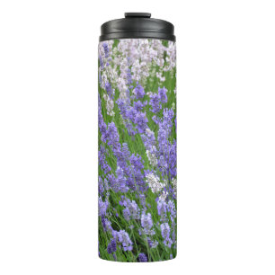 Bouteilles Isothermes lavande violette