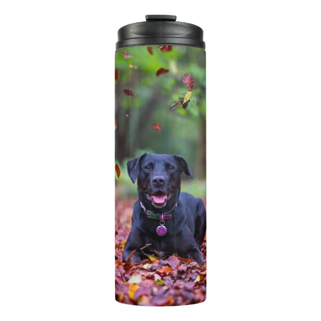 Bouteilles Isothermes Le Labrador Noir Dans Les Feuilles D'Automne (Devant)