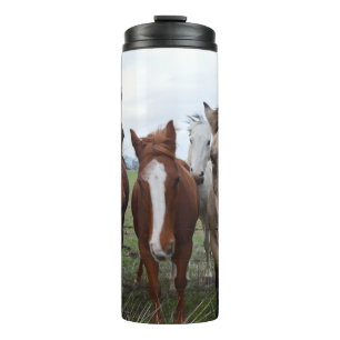 Bouteilles Isothermes Les Cheveux Frissés, Quatre Pals De Cheval,