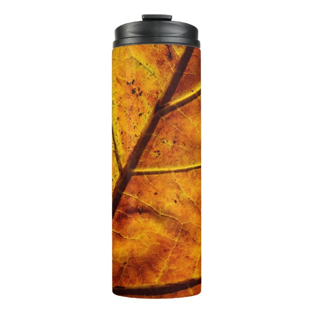 Bouteilles Isothermes Les nervures foliaires tombent de texture (Devant)