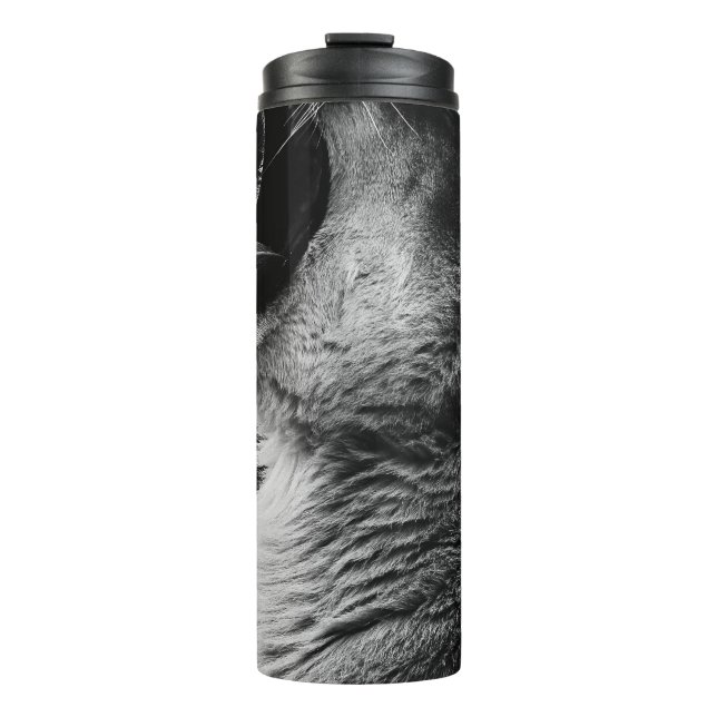 Bouteilles Isothermes lion (Devant)