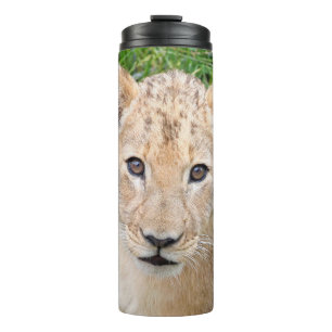 Bouteilles Isothermes Lion