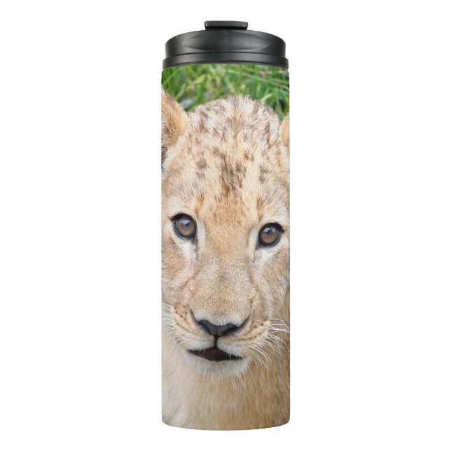 Bouteilles Isothermes Lion (Devant)