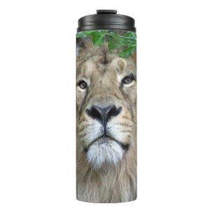 Bouteilles Isothermes Lion 002