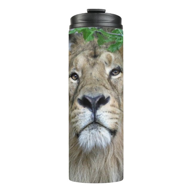 Bouteilles Isothermes Lion 002 (Devant)