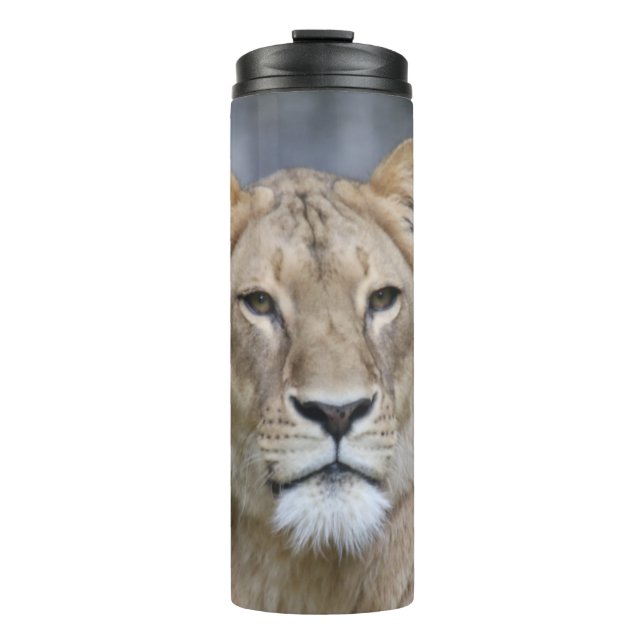 Bouteilles Isothermes Lion 004 (Devant)