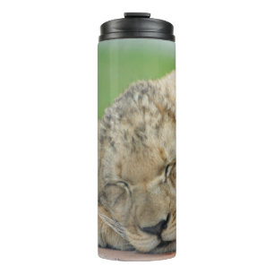 Bouteilles Isothermes Lion 014
