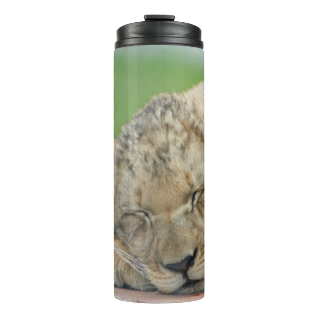 Bouteilles Isothermes Lion 014 (Devant)