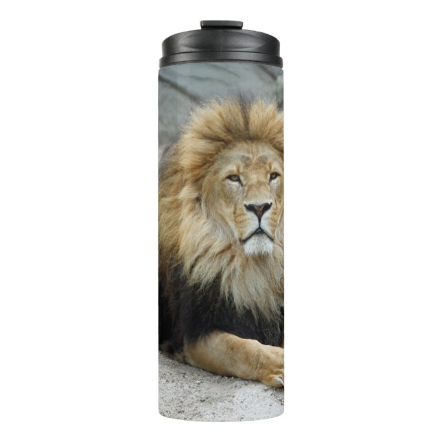 Bouteilles Isothermes Lion 020 (Devant)
