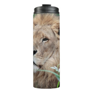 Bouteilles Isothermes Lion 021