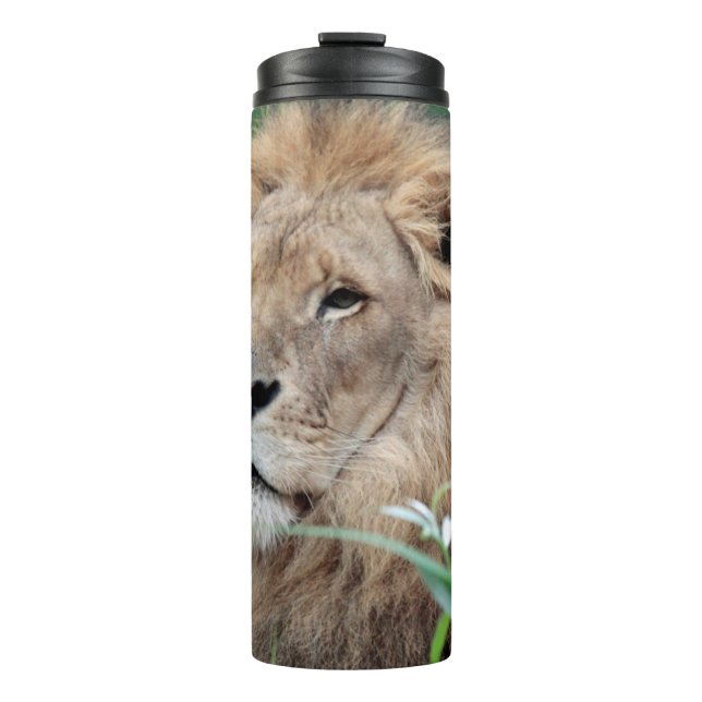 Bouteilles Isothermes Lion 021 (Devant)
