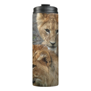 Bouteilles Isothermes Lion 033