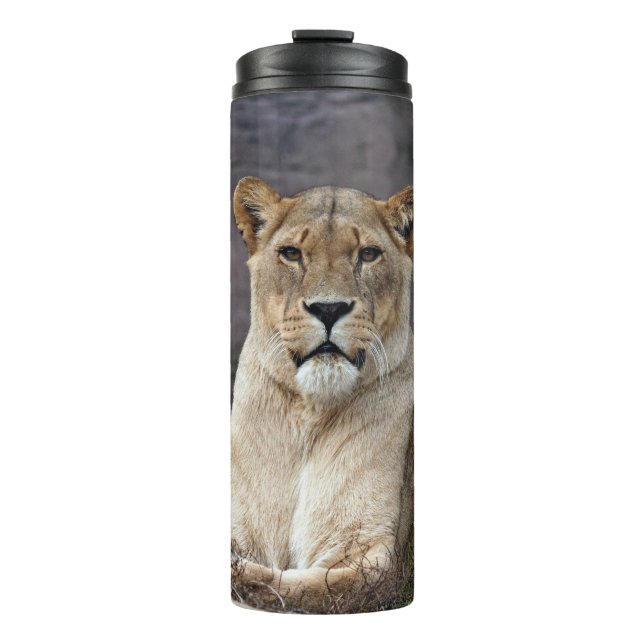 BOUTEILLES ISOTHERMES LIONESS RELAXING (Devant)