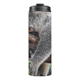 BOUTEILLES ISOTHERMES L'OURS DE KOALA DORT SUR L'ARBRE