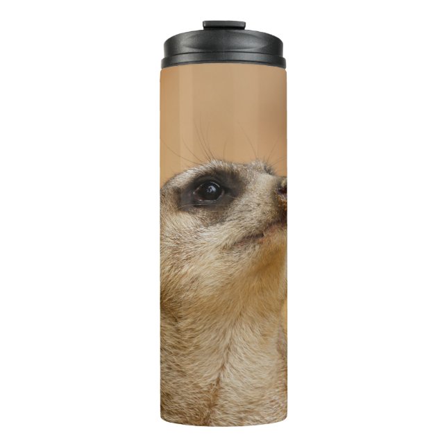 Bouteilles Isothermes Meerkat 001 par JAMFoto (Devant)