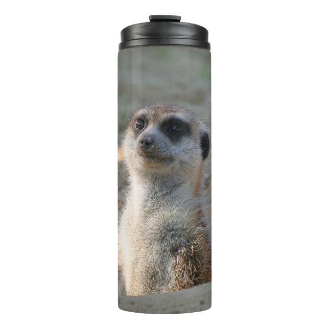 Bouteilles Isothermes Meerkat 004 (Devant)