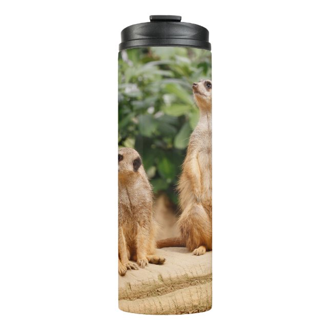 Bouteilles Isothermes Meerkat 009 (Devant)