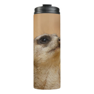Bouteilles Isothermes Meerkat 011