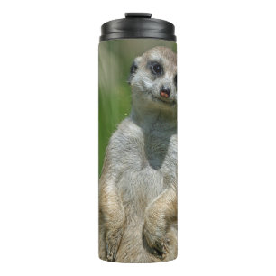 Bouteilles Isothermes Meerkat 013