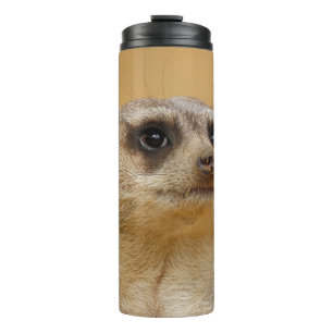Bouteilles Isothermes Meerkat 020