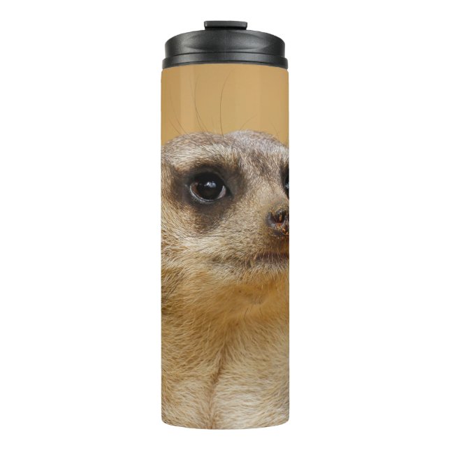 Bouteilles Isothermes Meerkat 020 (Devant)