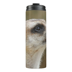 Bouteilles Isothermes Meerkat 028