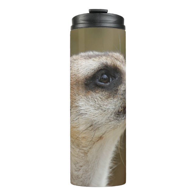 Bouteilles Isothermes Meerkat 028 (Devant)