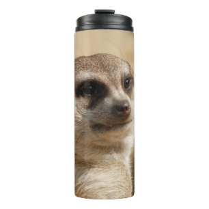 Bouteilles Isothermes Meerkat 041