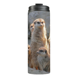 Bouteilles Isothermes Meerkat 110