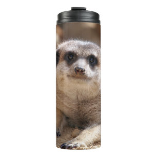 Bouteilles Isothermes Meerkat 174