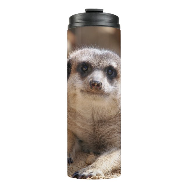 Bouteilles Isothermes Meerkat 174 (Devant)
