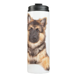 Bouteilles Isothermes Mélange de berger allemand de Collie Bordure