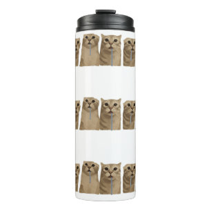 Bouteilles Isothermes Mème des triples chats idiots bavant