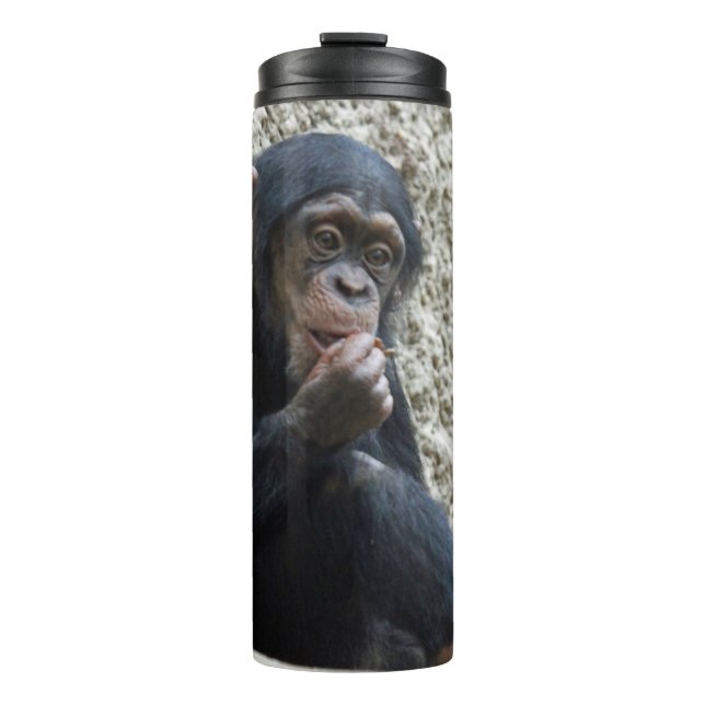 Bouteilles Isothermes Mer de Chimpané 013 (Devant)
