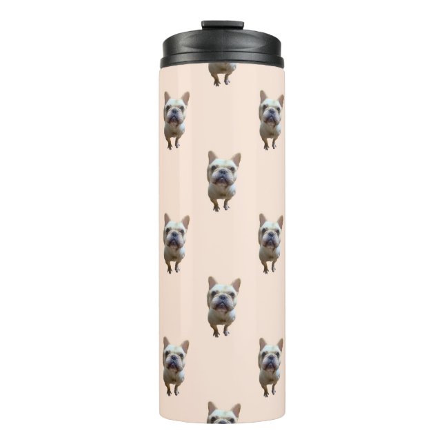 Bouteilles Isothermes motif_1_bulldog_1 (Devant)
