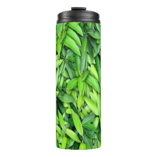 Bouteilles Isothermes Motif Feuille verdoyant - Nature Botanique