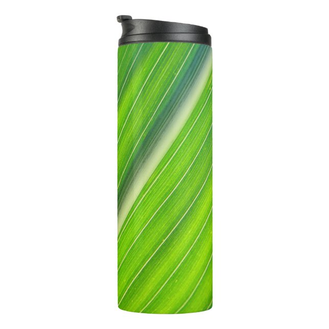 Bouteilles Isothermes Motif naturel vert (Tourné sur la droite)