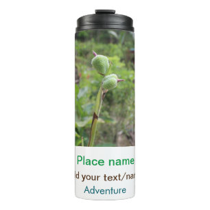 Bouteilles Isothermes Nature plante photographie plage eau nom de voyage
