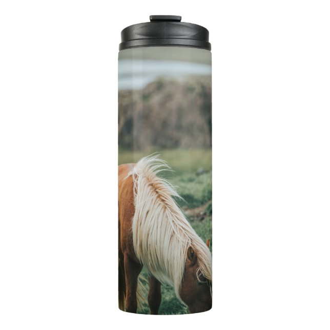 BOUTEILLES ISOTHERMES NICE HORSE (Devant)
