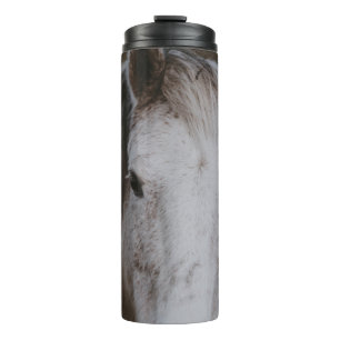 BOUTEILLES ISOTHERMES NOUVELLE FORÊT PONY