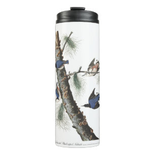 Bouteilles Isothermes Nuthatch à poitrine blanche Audobon (noir plafonné