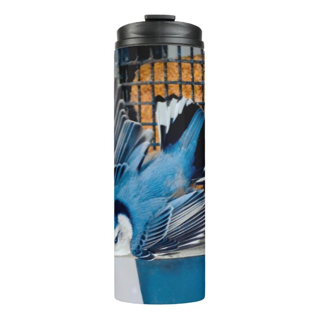 Bouteilles Isothermes Nuthatch à poitrine blanche en neige - Photo origi (Devant)