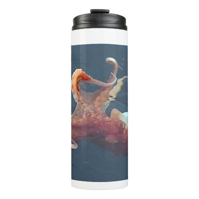 Bouteilles Isothermes Octopus Thermal Tumbler (Devant)