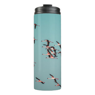 BOUTEILLES ISOTHERMES OISEAUX NOIRS ET BLANCS