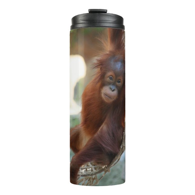 Bouteilles Isothermes OrangUtan 001 (Devant)
