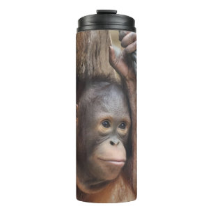 Bouteilles Isothermes OrangUtan 002
