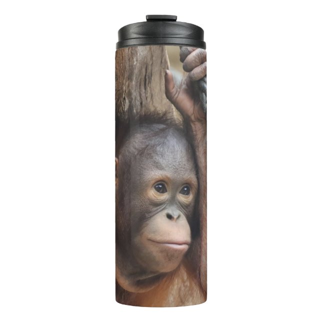 Bouteilles Isothermes OrangUtan 002 (Devant)