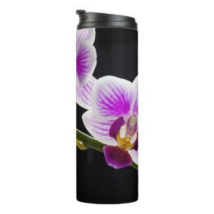 Bouteilles Isothermes Orchidée blanche et violette